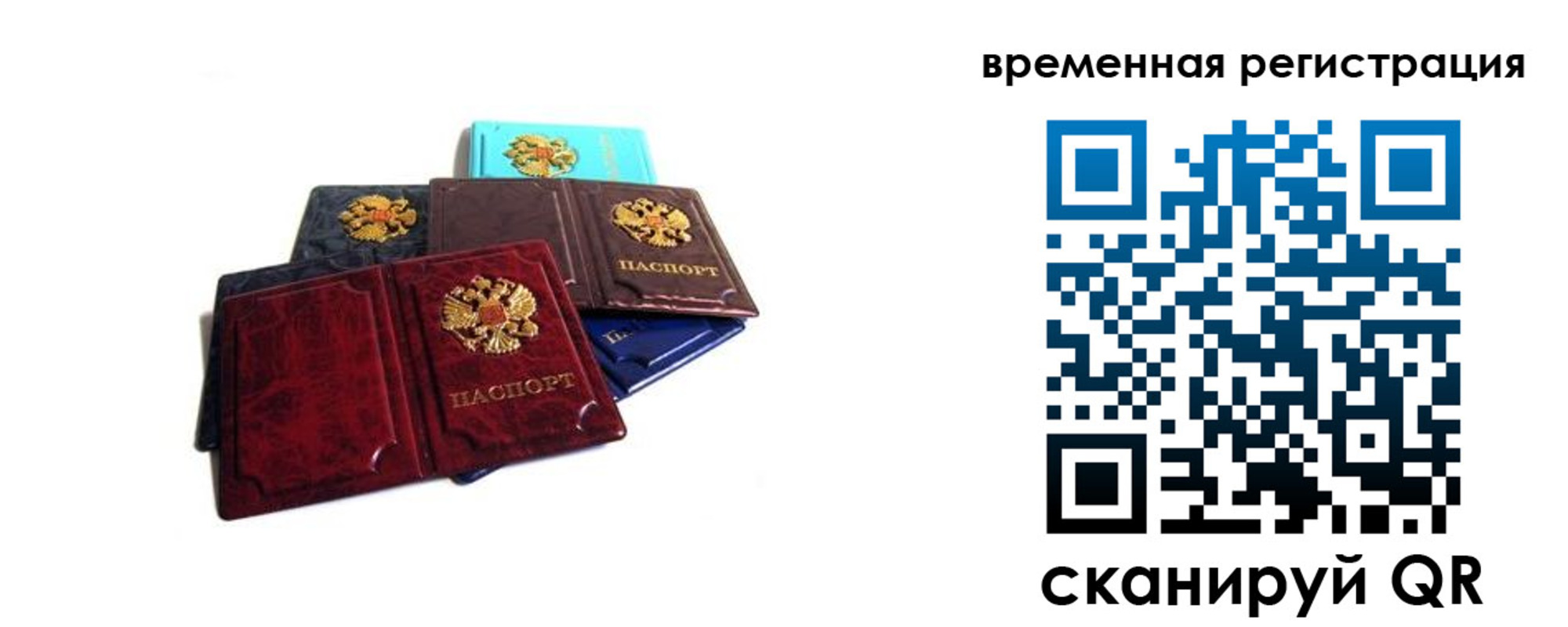 прописка гарантия в Куйбышеве